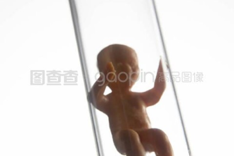 http://wulumuqi.vdtfzz.com/post/197.html|乌鲁木齐试管助孕