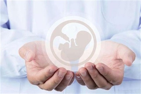 http://wulumuqi.vdtfzz.com/post/214.html|乌鲁木齐人工试管